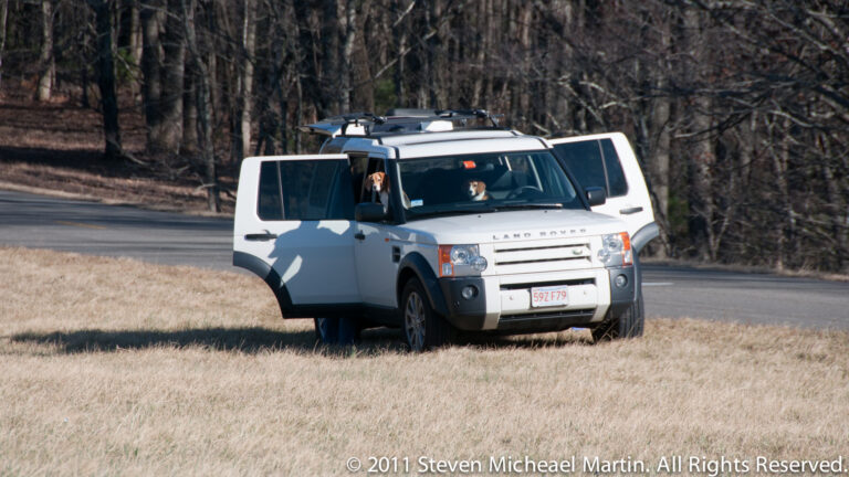 Two dogs peer from the front windows of a white SUV parked beside a road and bare woodland.