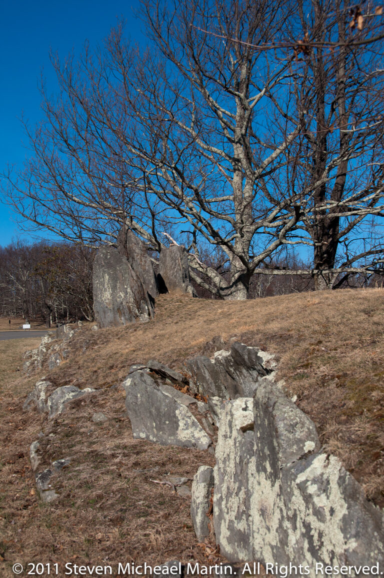 Large flat rock slabs rest in a grassy clearing beneath a leafless tree, with a road beyond.