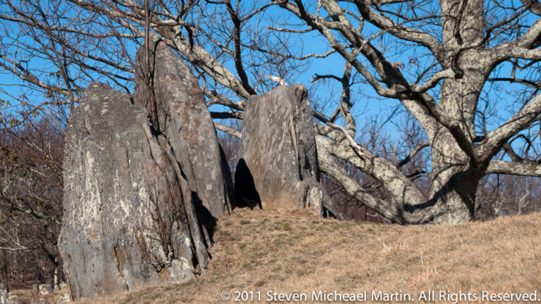 A row of tall, jagged gray rock slabs rises from grass beneath spreading bare branches.
