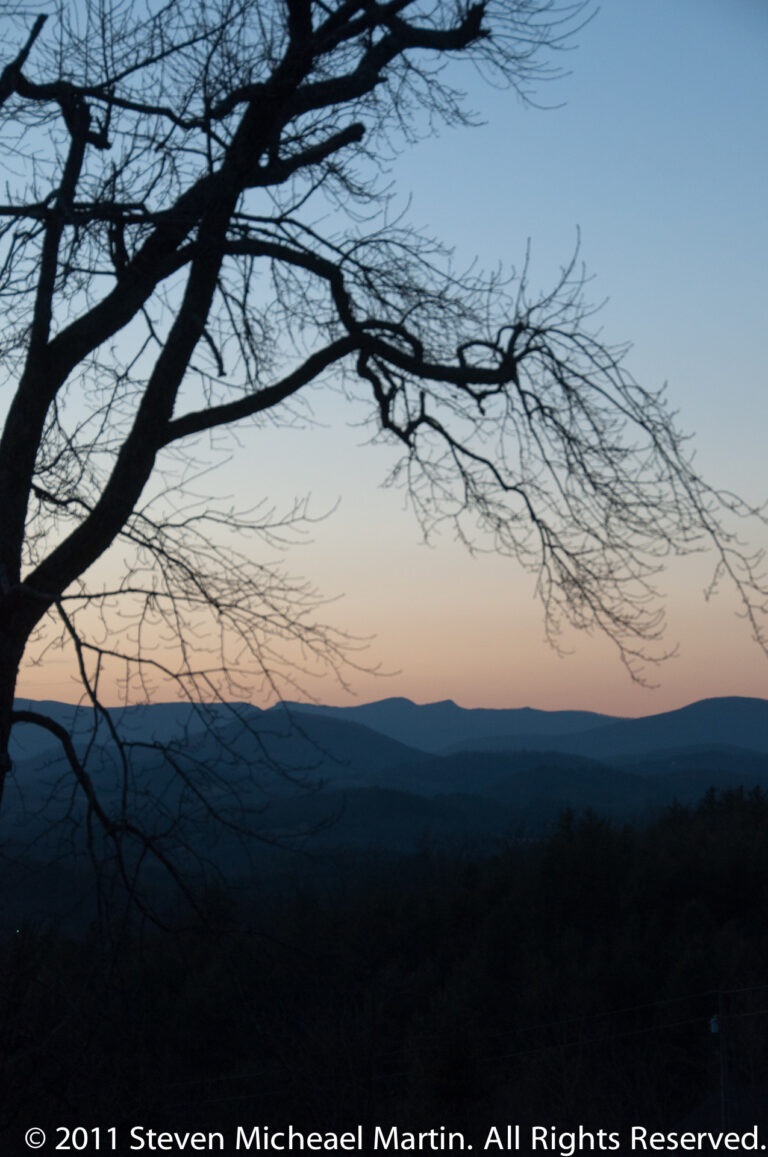 Bare branches arc across the sky above distant blue ridges and dark forest at twilight.