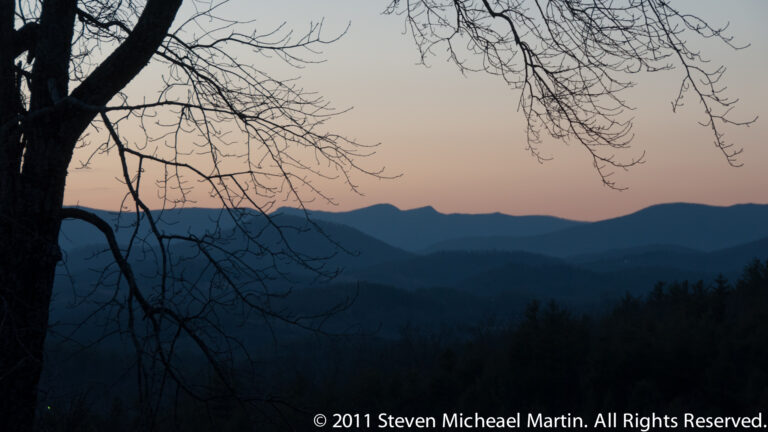 Large tree trunk and bare limbs frame layered blue mountains beneath a pale pink dusk sky.