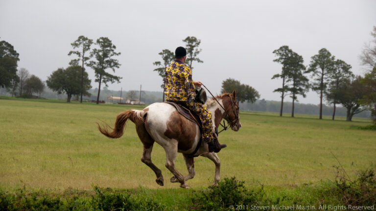 Jean Lafitte NHP – Cajun Mardi Gras