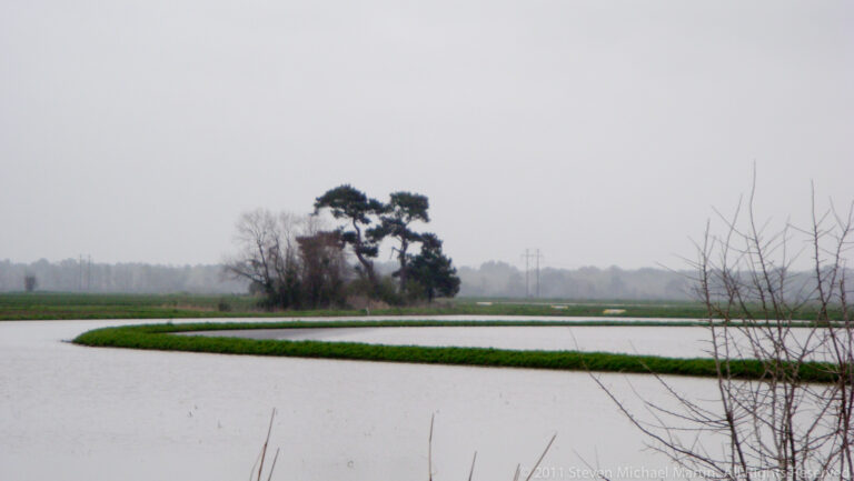 A grassy embankment crosses flooded fields beneath a hazy sky, with trees in the distance.