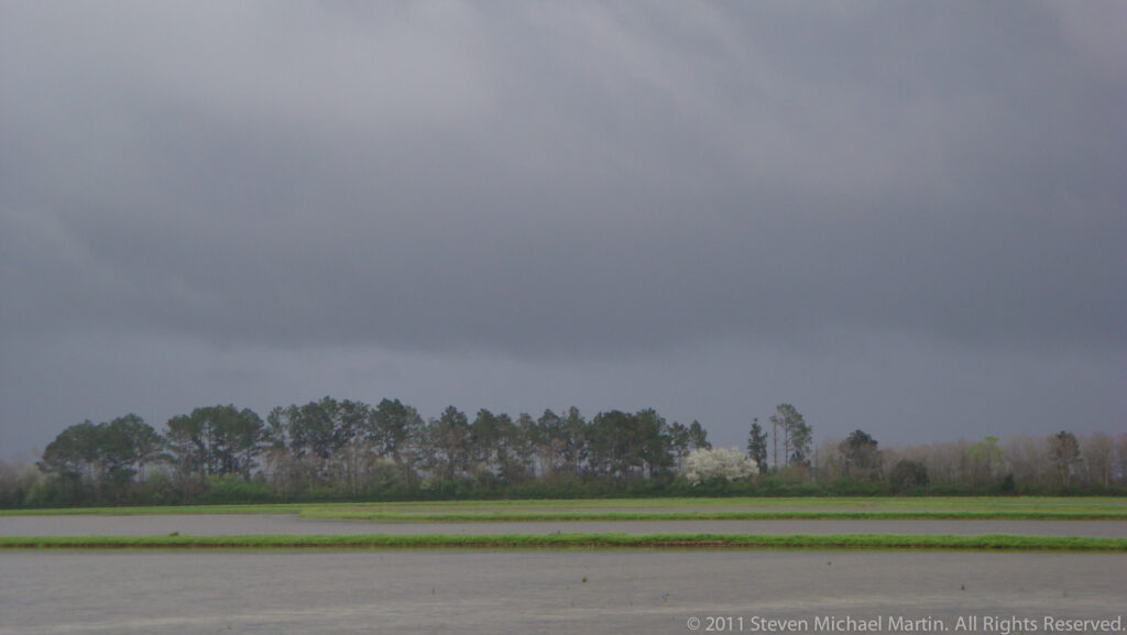 Shallow water covers a flat field beneath an overcast sky and distant tree line.