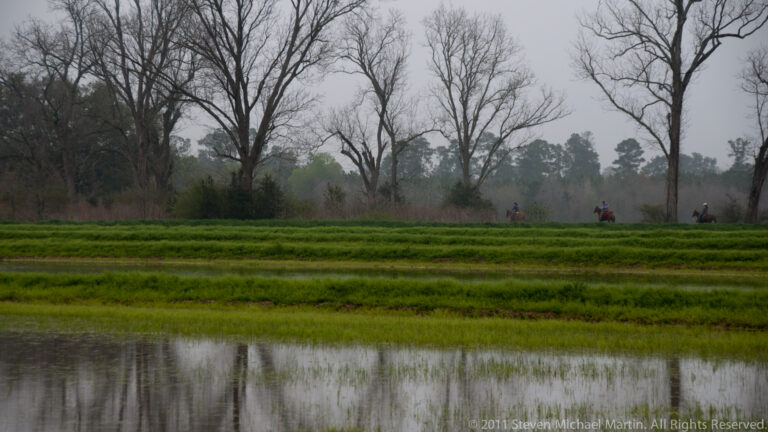 Small group of riders crosses a strip of pasture between flooded fields and bare trees.