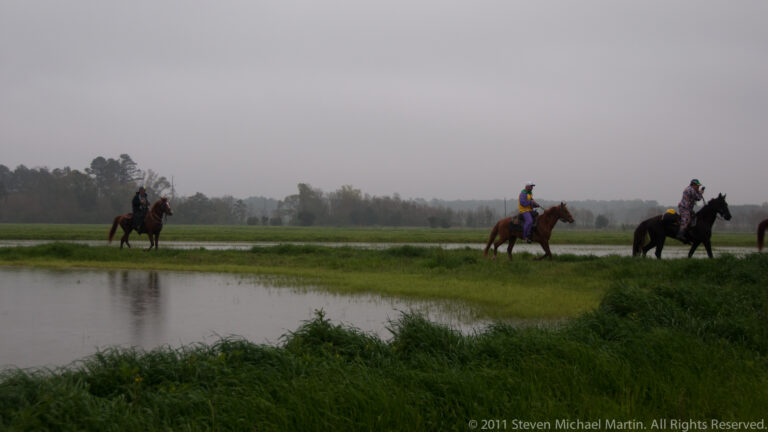 Distant costumed riders cross a waterlogged meadow beneath a gray sky overhead.