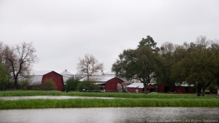 Red barns and farm buildings stand behind a flooded grassy field and roadside water.