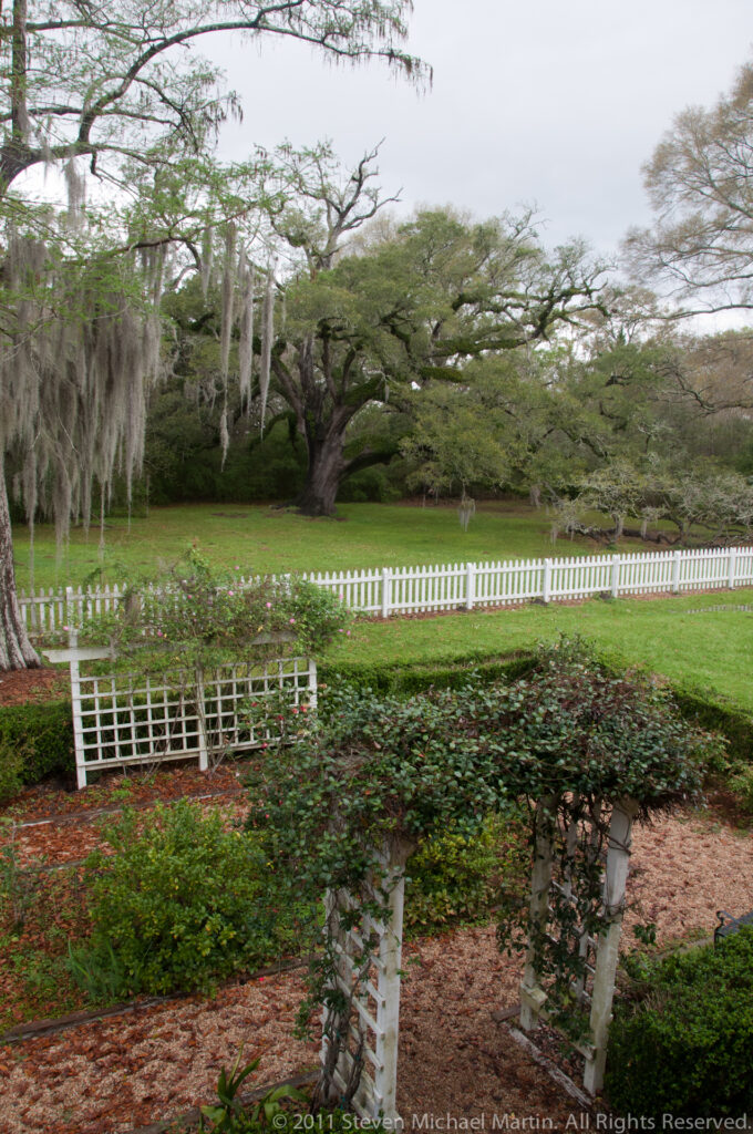 A spreading live oak with hanging moss shades a lawn bordered by white picket fences.