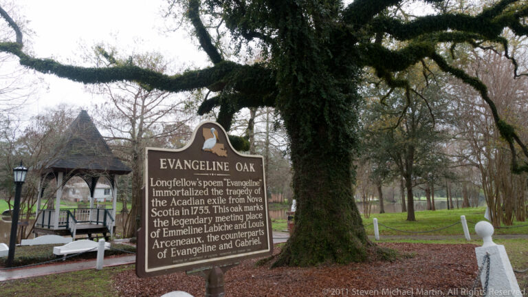 An Evangeline Oak interpretive sign stands before a large oak and small gazebo.