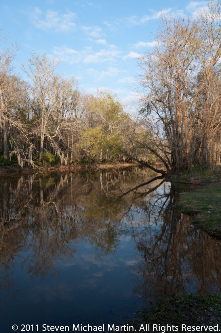 A narrow channel curves beneath overhanging cypress trees, with their branches reflected in dark water.