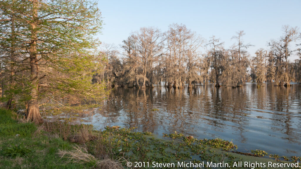 A broad lake bordered by cypress trees, with green foliage at left and Spanish moss hanging over the water.