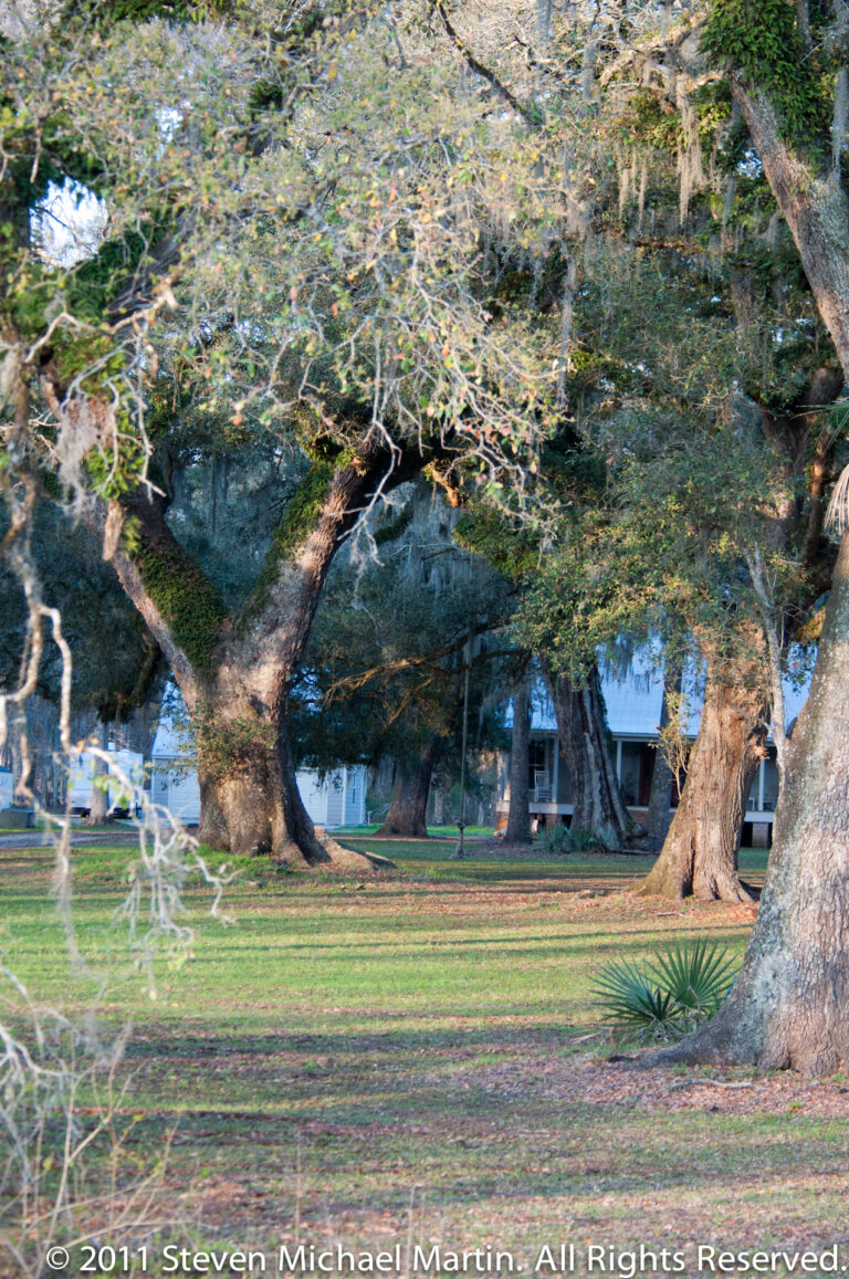 Large spreading oaks shade a lawn and low buildings, with a palmetto at the edge of the frame.