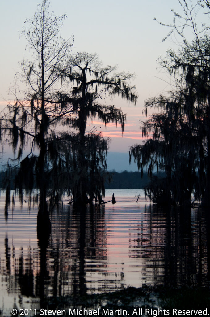A moss-draped cypress branch crosses a lake reflecting coral dawn light and a dark tree stump.