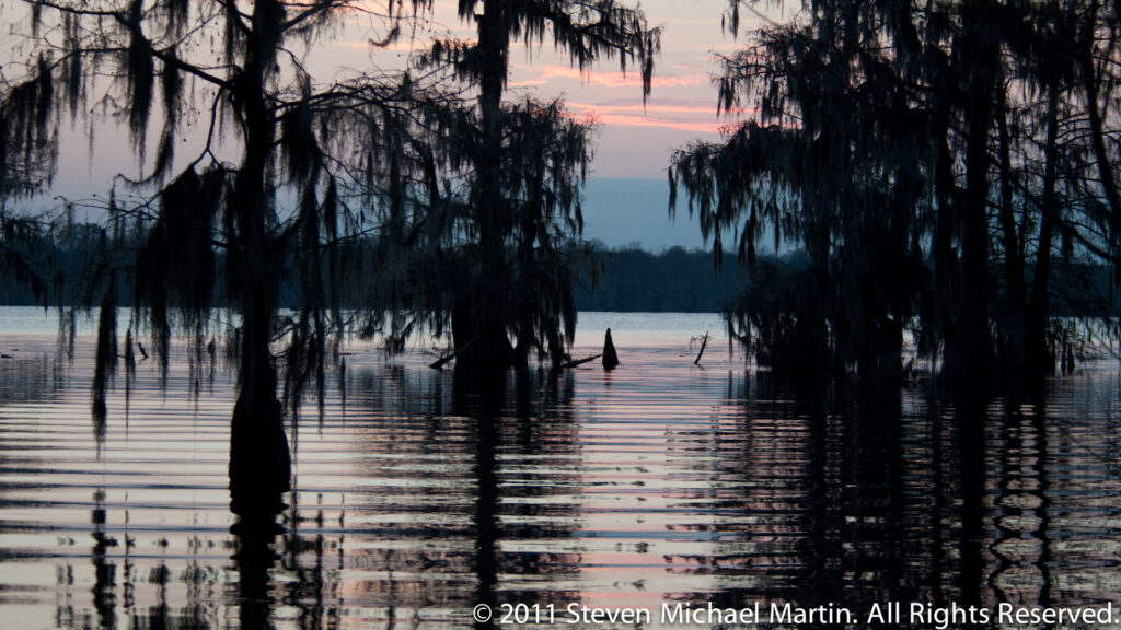 Rippling lake water reflects cypress trunks and hanging Spanish moss beneath a pale pink dawn sky.