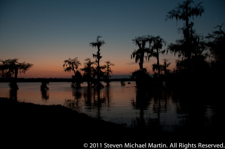 Cypress trees draped with Spanish moss stand in reflective water beneath an orange sunset sky.