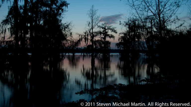 Moss-draped cypress trunks frame an opening onto a lake, with their reflections stretching across the water at dusk.