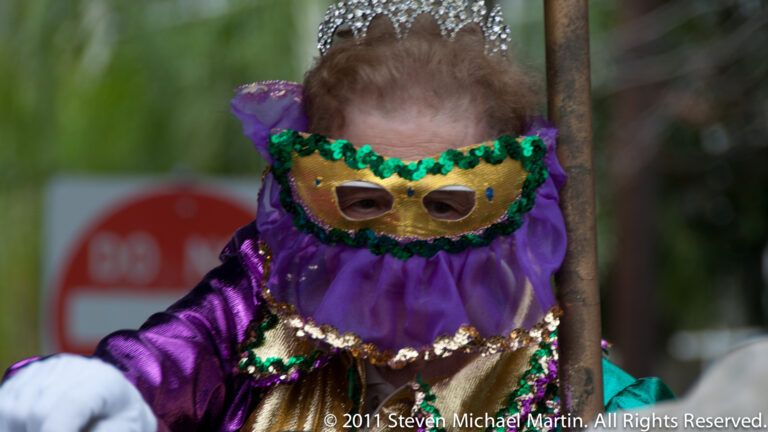 A masked child in layered purple-and-gold costume rides on a decorated parade cart.