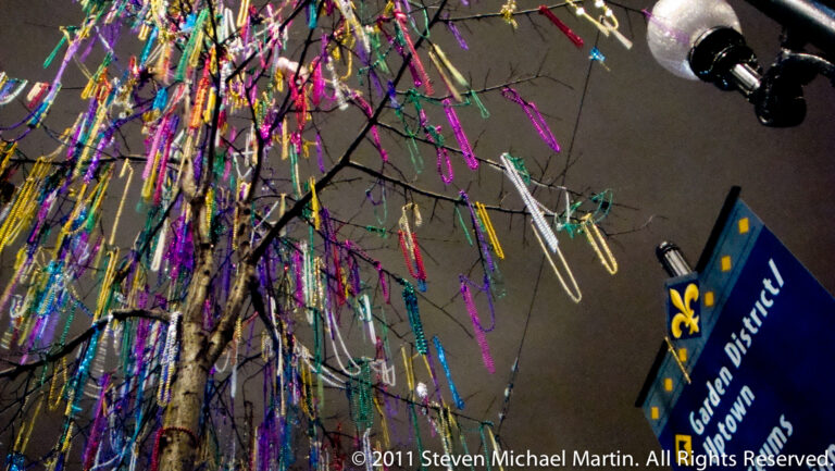 Purple, green, gold, and blue bead strands hang from a tree beside a Garden District Uptown street sign.