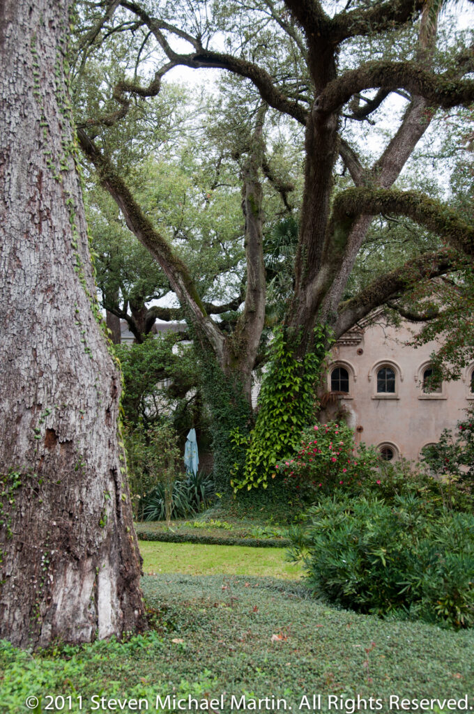 A broad live oak shades a lawn and lush garden beside a pale residence, with a person partly hidden among plants.