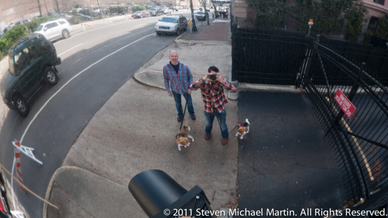Two men walk small leashed dogs along a broad sidewalk beside parked cars and a tall iron fence.