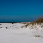 Gulf Islands NS – Pensacola and Charleston