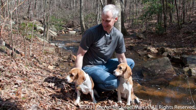 A man crouches with two beagles on a rock beside a shallow wooded creek.