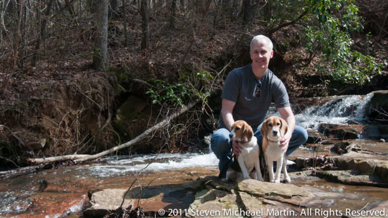 A seated man and two beagles pose in the stream, with a rocky cascade behind them.