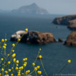 Channel Islands NP and Santa Barbara Mission