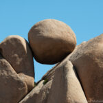 Joshua Tree NP