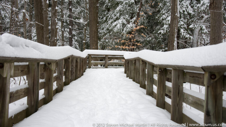 A snow-covered wooden footbridge with high railings leads toward steps among winter trees.
