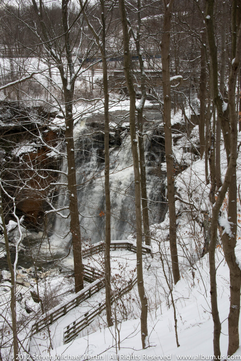 A creek runs between snowy banks behind a dense foreground of bare trees and branches.