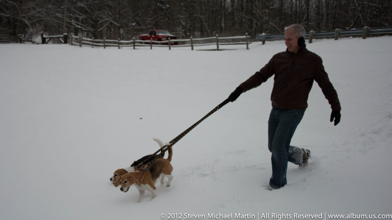 A man walks two leashed beagles across a snowy clearing near a road and fence.