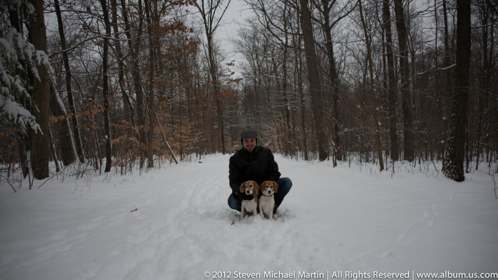 A person crouches behind two beagles on a snowy trail lined by bare trees.