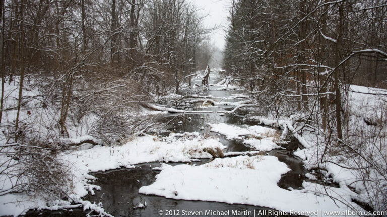 A creek winds past snow-covered rocks and fallen branches through bare woods toward a distant cascade.