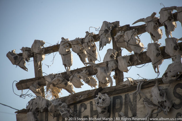 Animal skulls and horns are mounted along a timber beam above a faded wooden storefront sign.