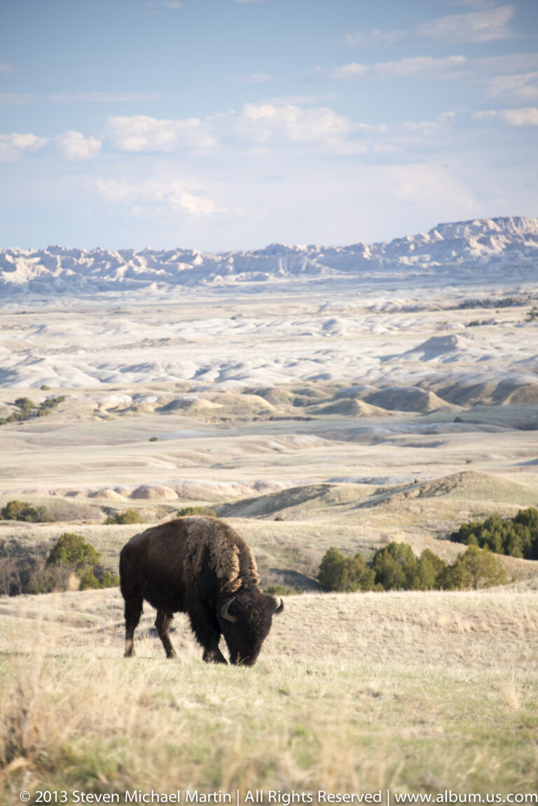 A bison grazes in profile on a grassy slope above an expansive plain and distant hills.
