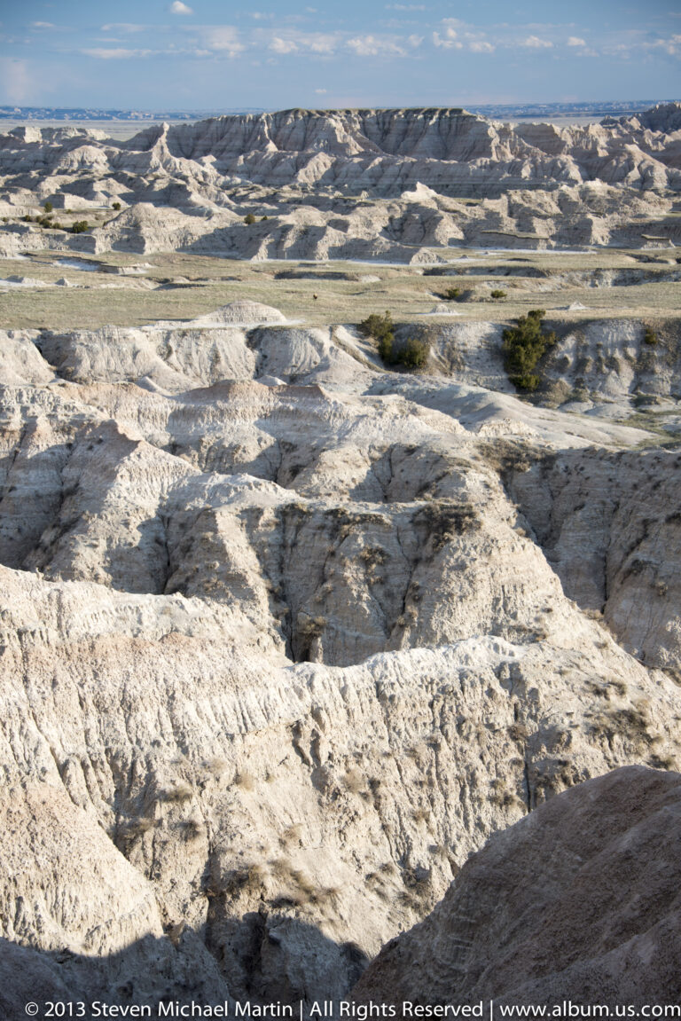 Branching gullies and pale ridges cover an exposed badlands slope, with sparse shrubs beyond.