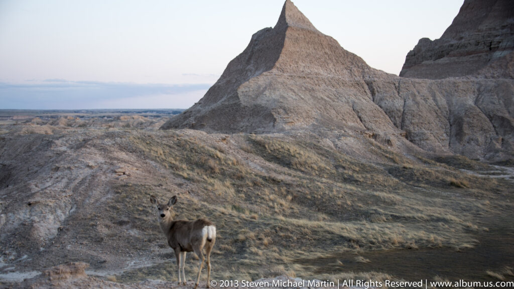 A deer stands on a grassy slope below steep eroded formations, facing the camera.