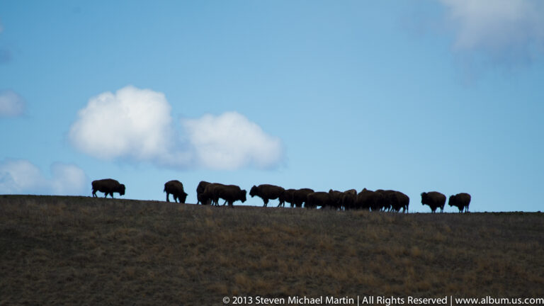 A herd of bison walks along a dark ridgeline beneath two white clouds and blue sky.