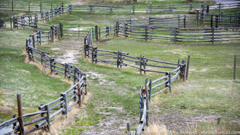Rough wooden rail fences form several connected holding pens across a grassy pasture.