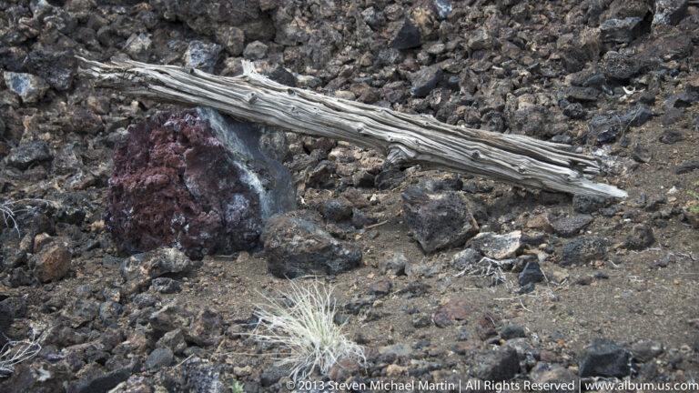 A weathered branch lies across jagged basalt fragments beside a reddish rock and pale grass.