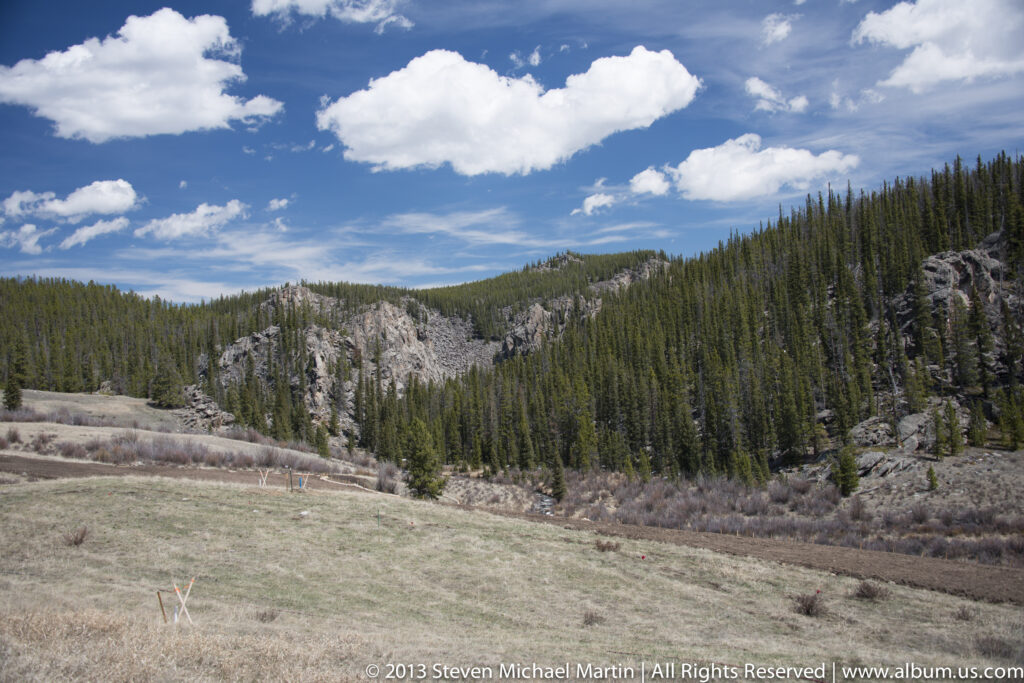 A grassy meadow stretches toward a rocky ridge covered with evergreen trees beneath clouds.