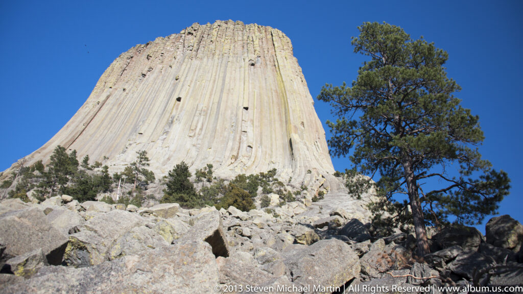 Devils Tower rises behind angular boulders beside a tall pine tree.