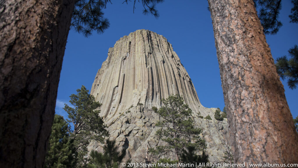 Two tree trunks frame Devils Tower rising above pines against a clear sky.