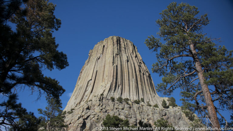 Devils Tower rises above pines and talus, framed by dark branches and a tall tree.