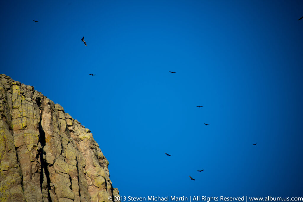 Several birds circle in a blue sky beside a steep, sunlit rock face.