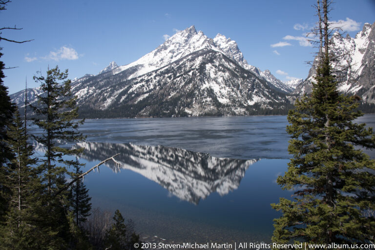A snowy mountain reflects in a blue lake framed by conifers and a fallen branch.