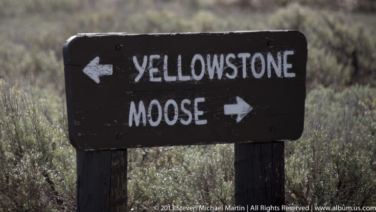 A dark wooden sign points left to Yellowstone and right to Moose amid sagebrush.