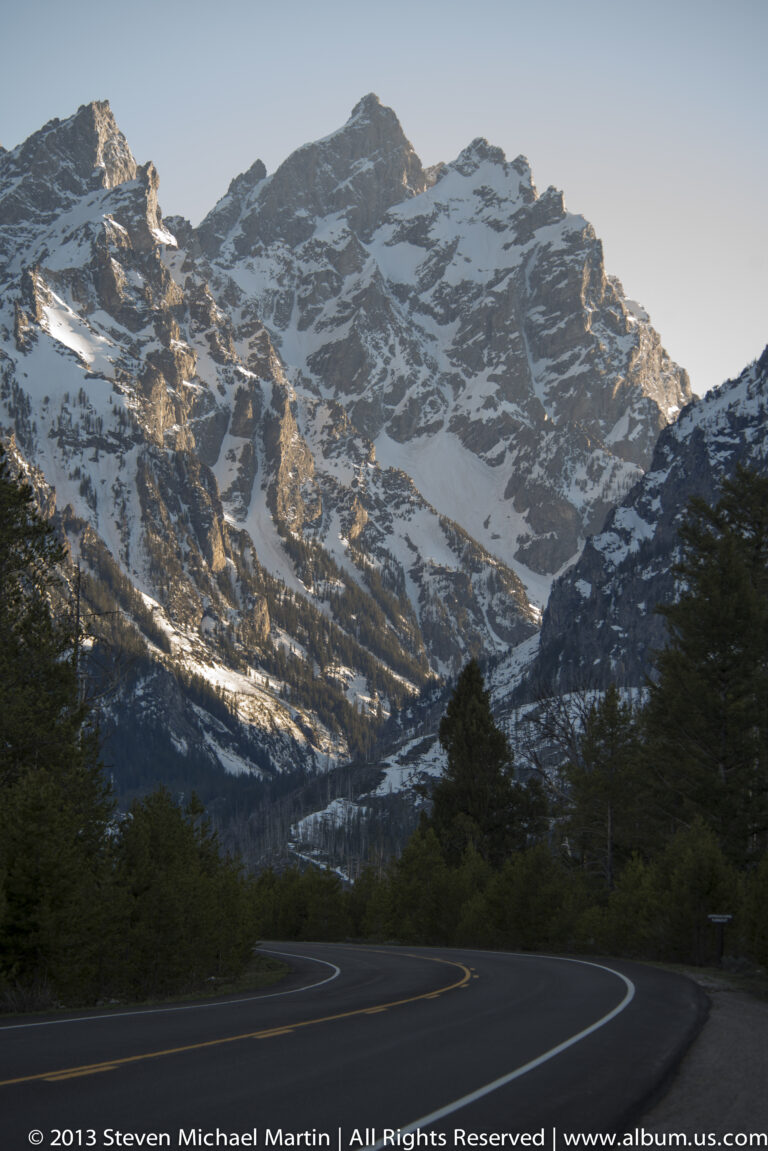 A road curves through conifers toward a snow-covered mountain in evening light.