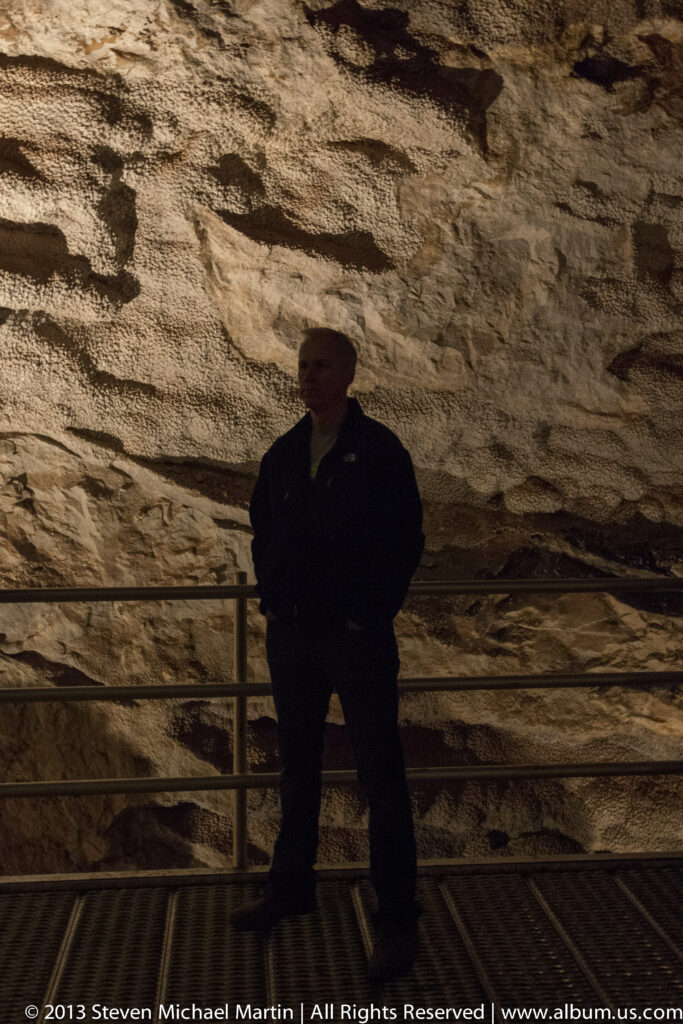 A silhouetted visitor stands beside a metal railing against a pale cave wall.